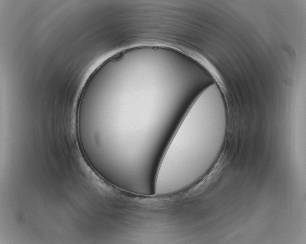 X0000115561004200911061144