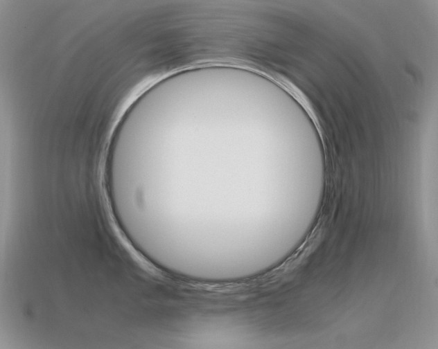 X0000115561005200911061144