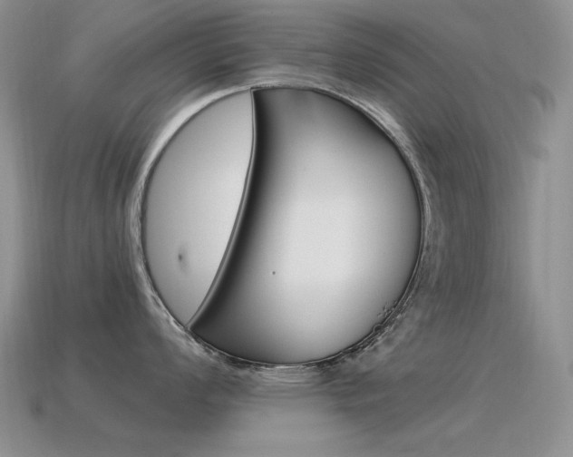 X0000115561008200911061144