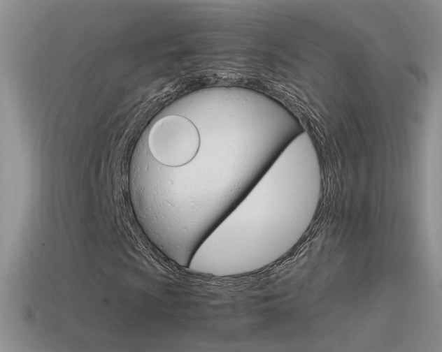 X0000115561009200911061143