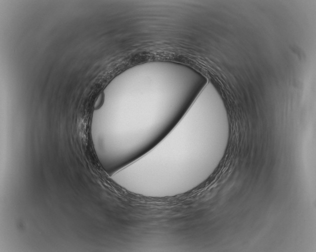X0000115561010200911061143