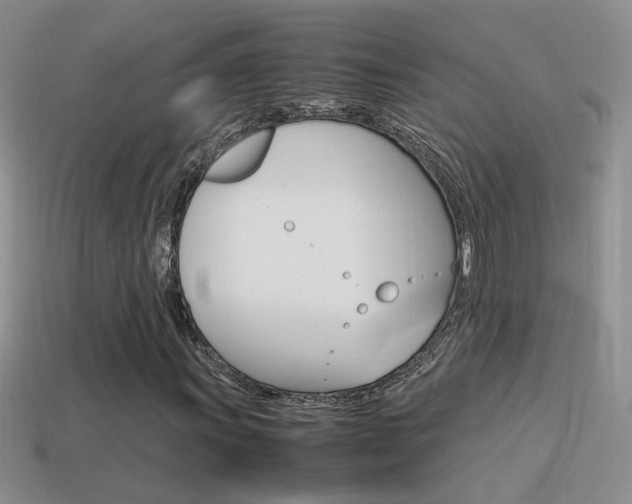 X0000115561011200911061143