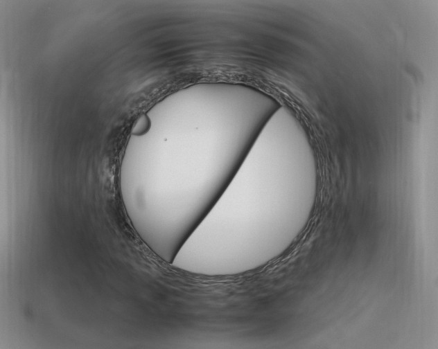 X0000115561013200911061143
