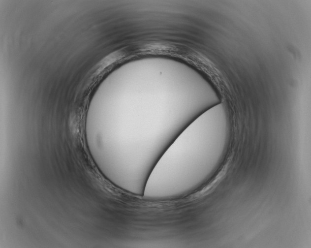 X0000115561017200911061143