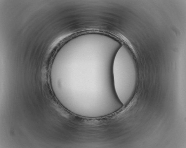 X0000115561019200911061143