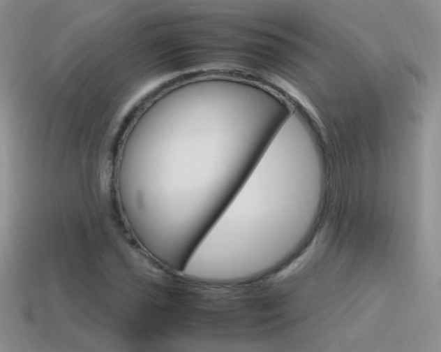 X0000115561021200911061143