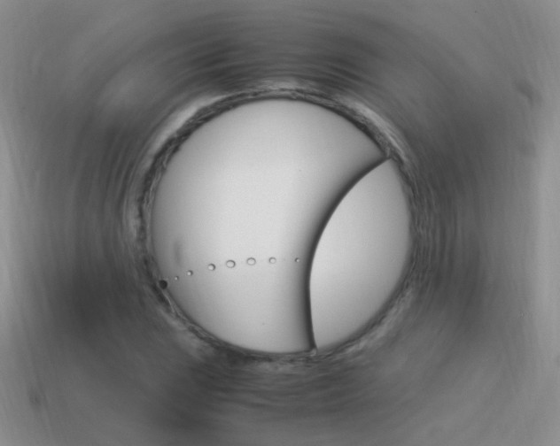 X0000115561023200911061143