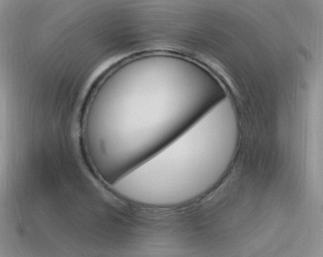 X0000115561024200911061143