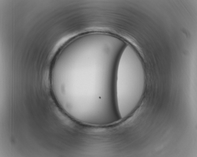 X0000115561030200911061143