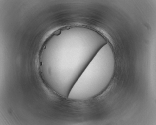 X0000115561031200911061143