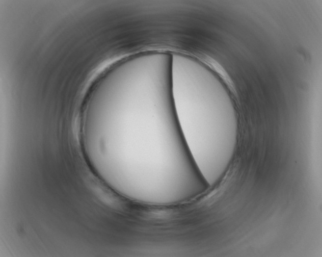 X0000115561035200911061143