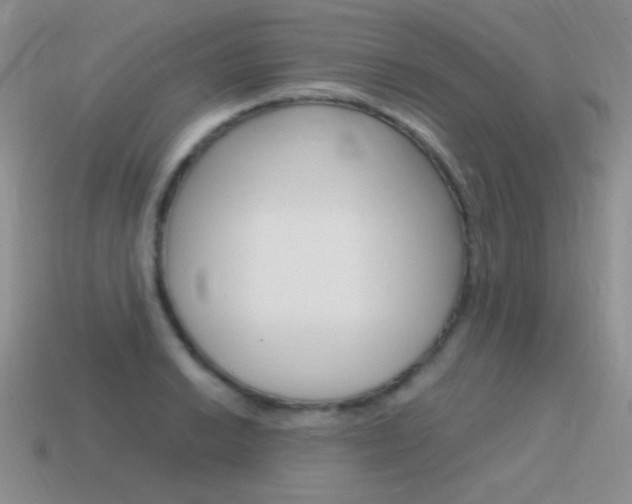 X0000115561038200911061143