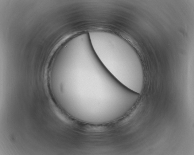 X0000115561039200911061143