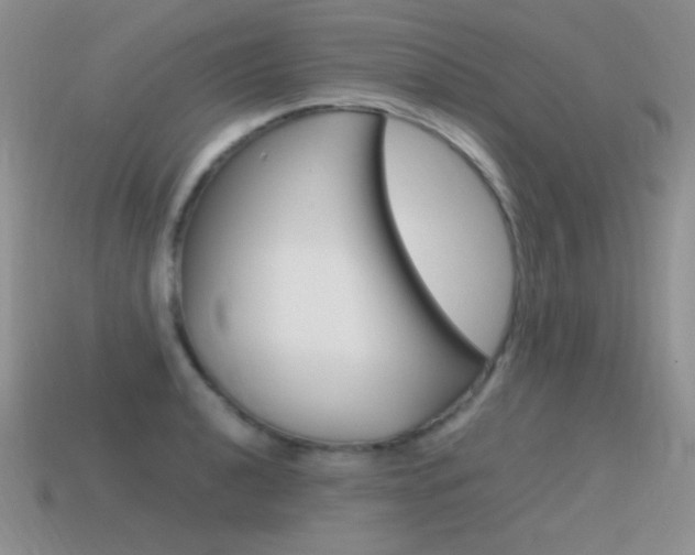 X0000115561040200911061143