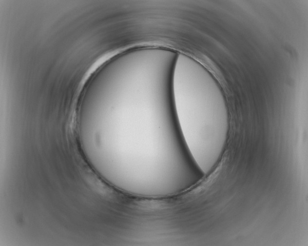 X0000115561044200911061143