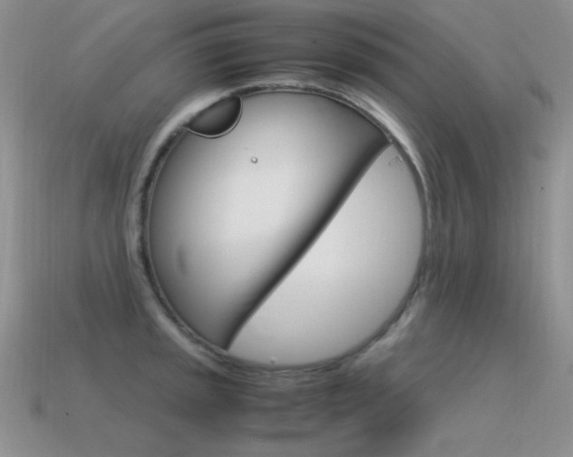 X0000115561045200911061143