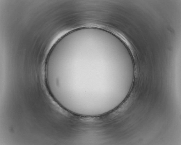 X0000115561048200911061143