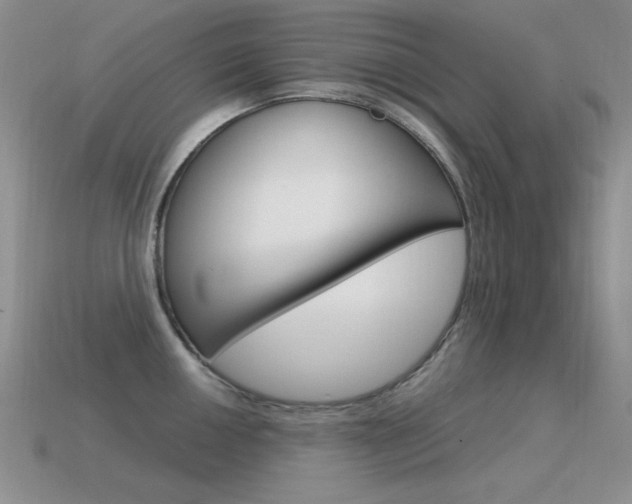 X0000115561050200911061143