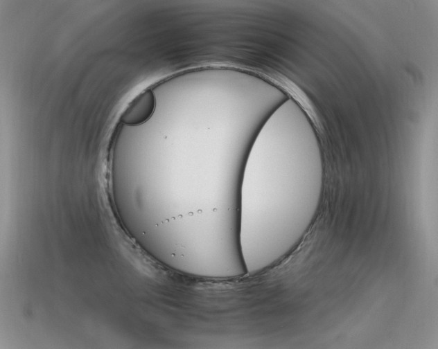 X0000115561051200911061143