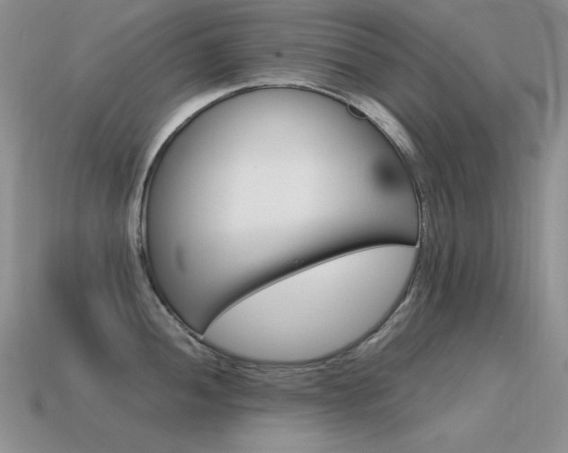 X0000115561052200911061143