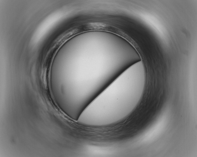 X0000115561054200911061144