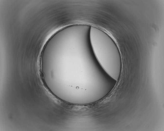 X0000115561056200911061144