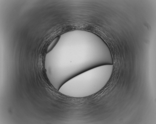 X0000115561058200911061143