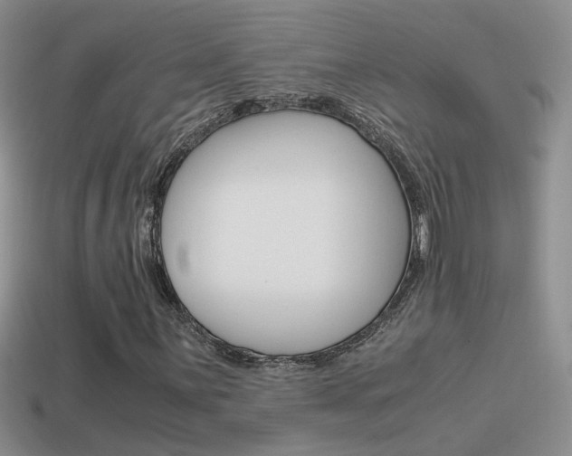 X0000115561059200911061143
