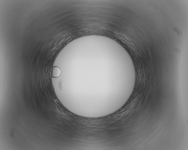 X0000115561060200911061143
