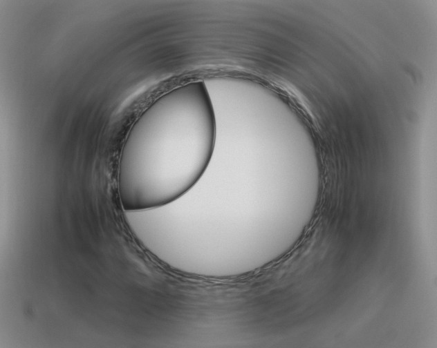 X0000115561064200911061143