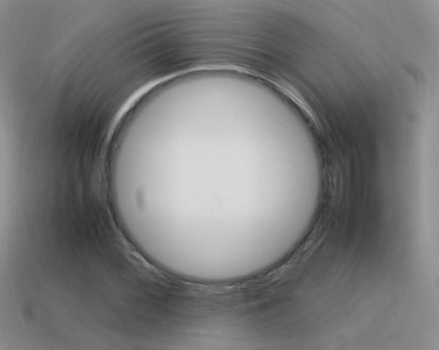 X0000115561068200911061143