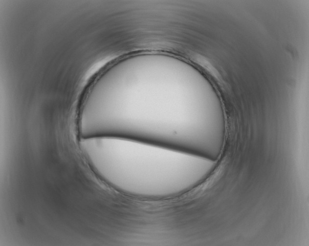 X0000115561071200911061143