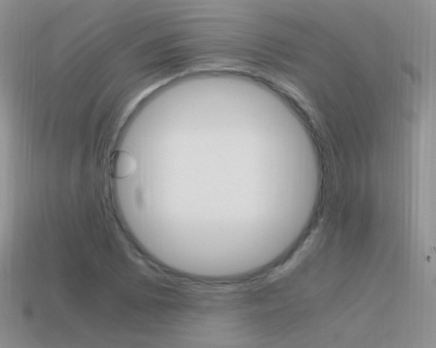 X0000115561073200911061143