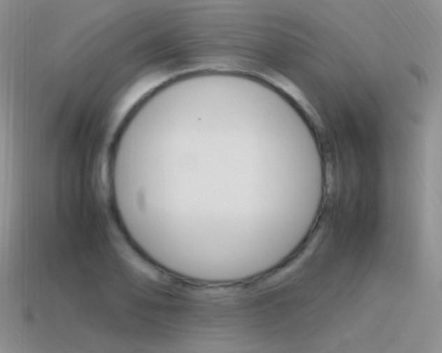 X0000115561078200911061142