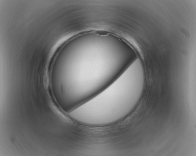 X0000115561080200911061142