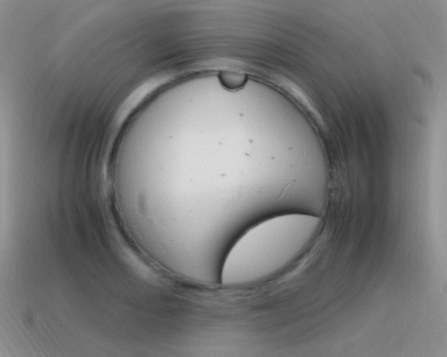 X0000115561082200911061142
