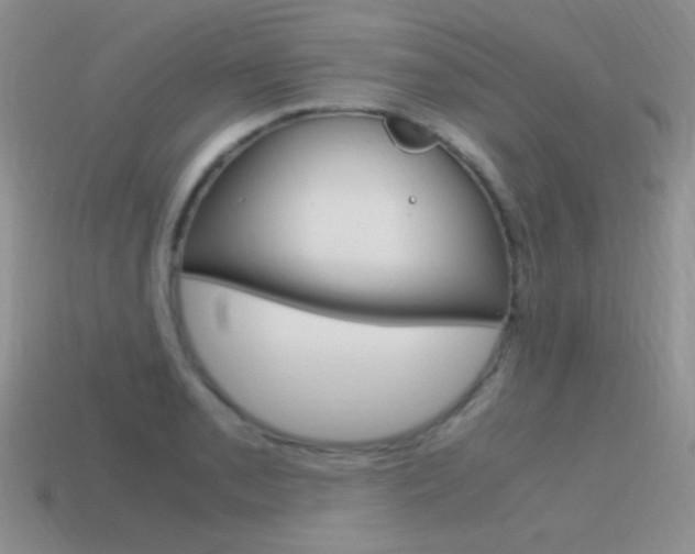X0000115561085200911061142