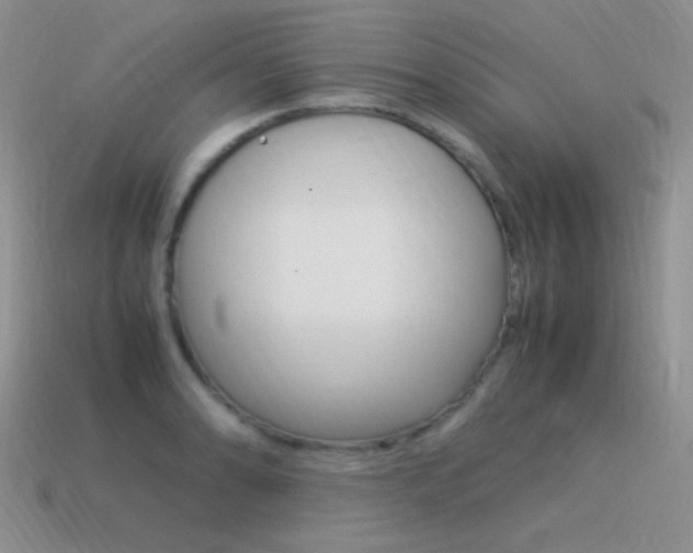 X0000115561086200911061142