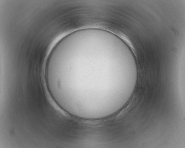 X0000115561088200911061142