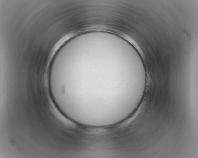X0000115561090200911061142