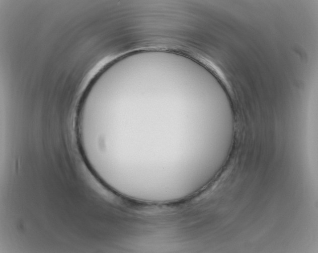 X0000115561091200911061142