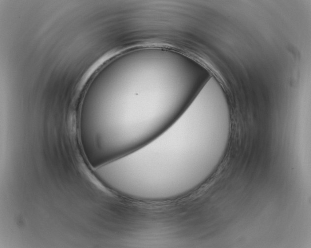 X0000115561092200911061142