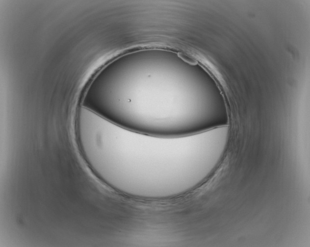 X0000115561093200911061142