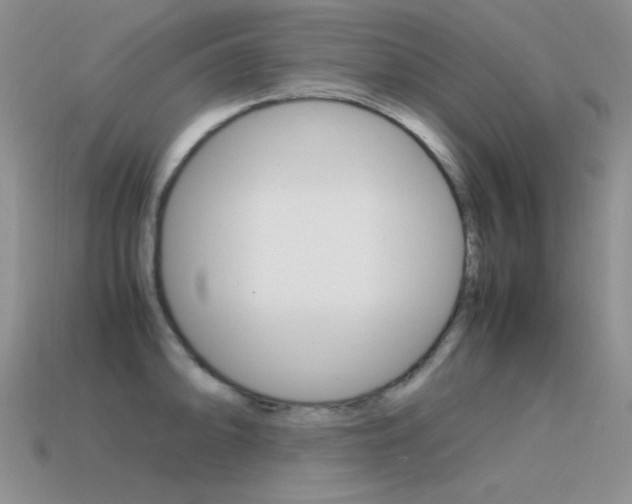 X0000115561094200911061142