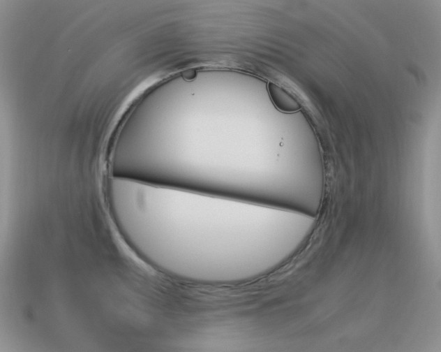 X0000115561095200911061142