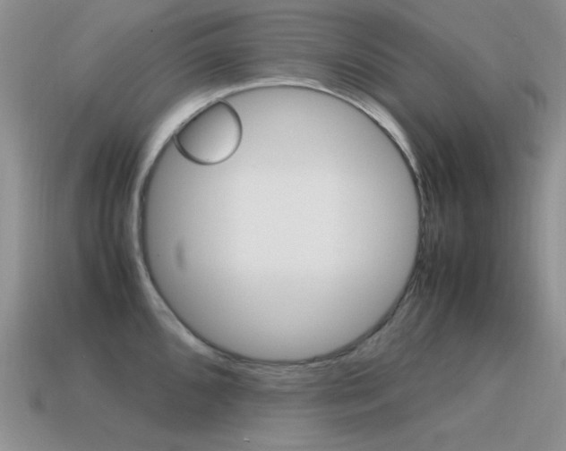 X0000115561096200911061142