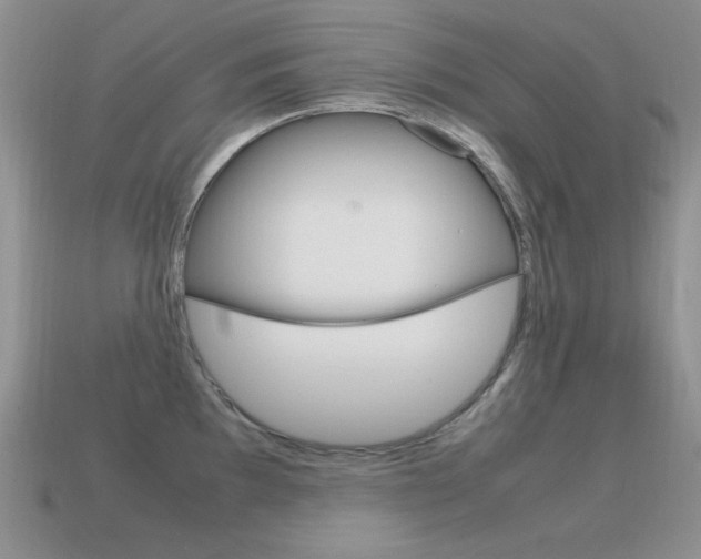 X0000115561097200911061142