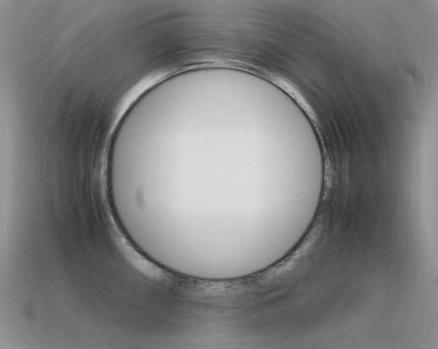 X0000115561098200911061142