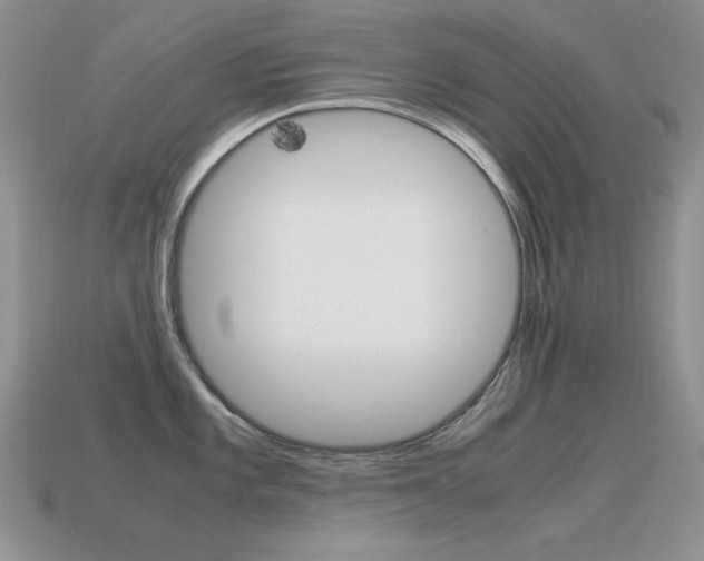 X0000115561101200911061142