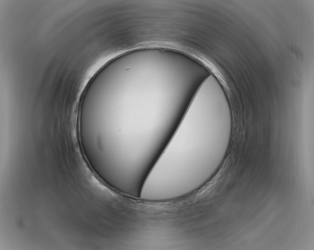X0000115561102200911061142